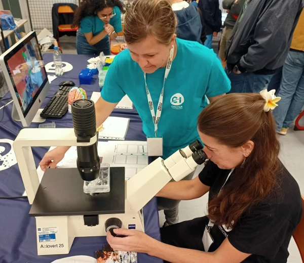 microscope